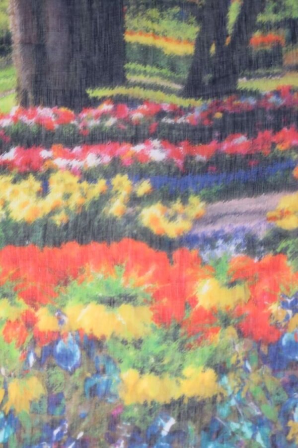campo tulipani altea
